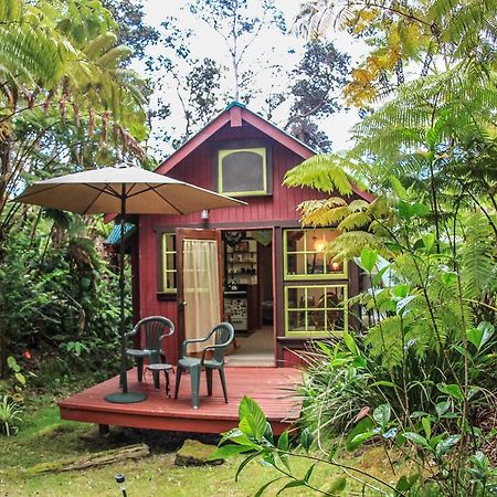 Ferny Hollow: Romantic Rainforest Cottage Волкано Экстерьер фото