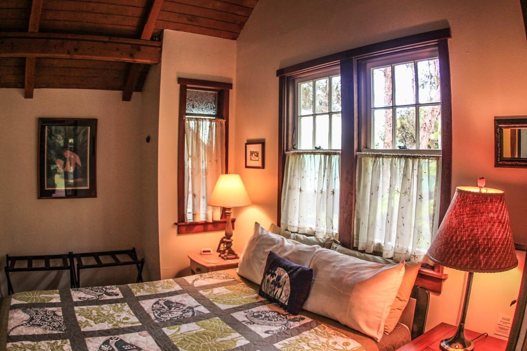 Ferny Hollow: Romantic Rainforest Cottage Волкано Экстерьер фото