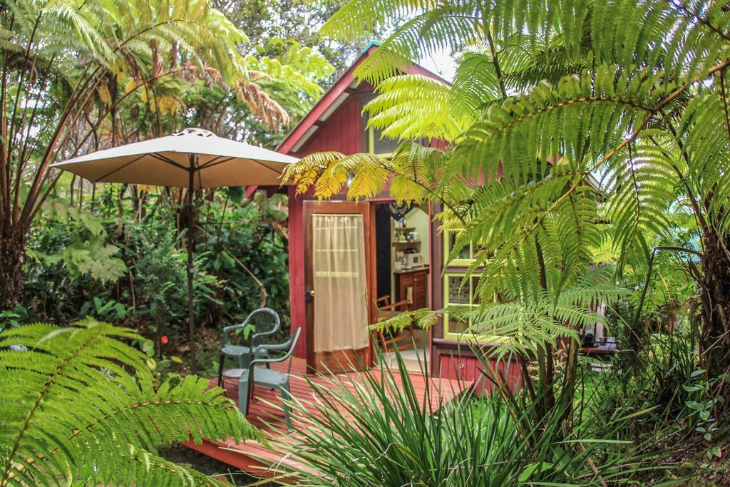 Ferny Hollow: Romantic Rainforest Cottage Волкано Экстерьер фото