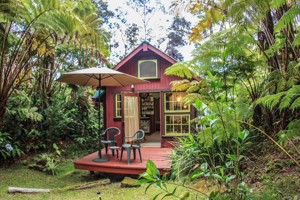 Ferny Hollow: Romantic Rainforest Cottage Волкано Экстерьер фото