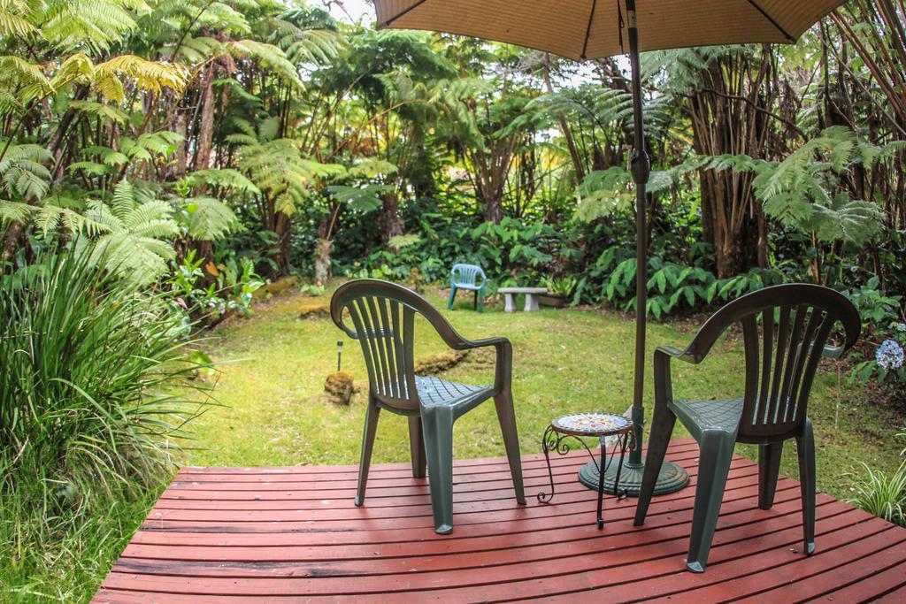 Ferny Hollow: Romantic Rainforest Cottage Волкано Экстерьер фото