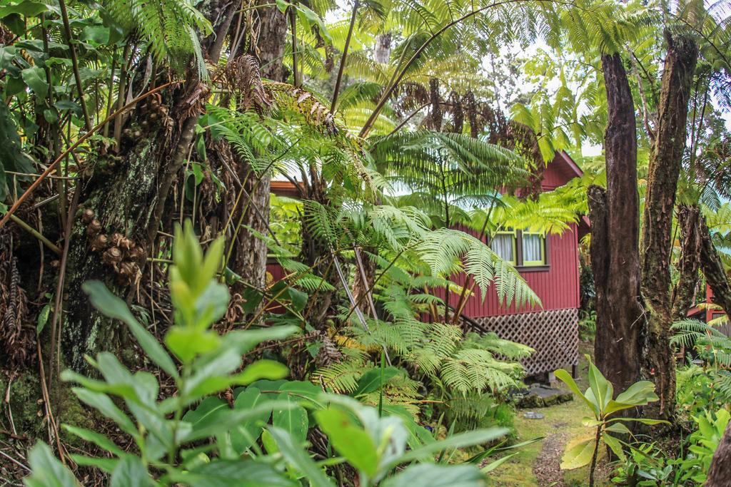 Ferny Hollow: Romantic Rainforest Cottage Волкано Экстерьер фото